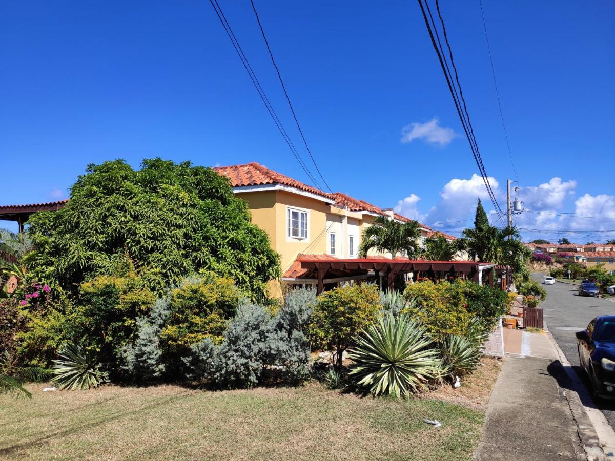 Montego Bay Garden Studio Екстериор снимка